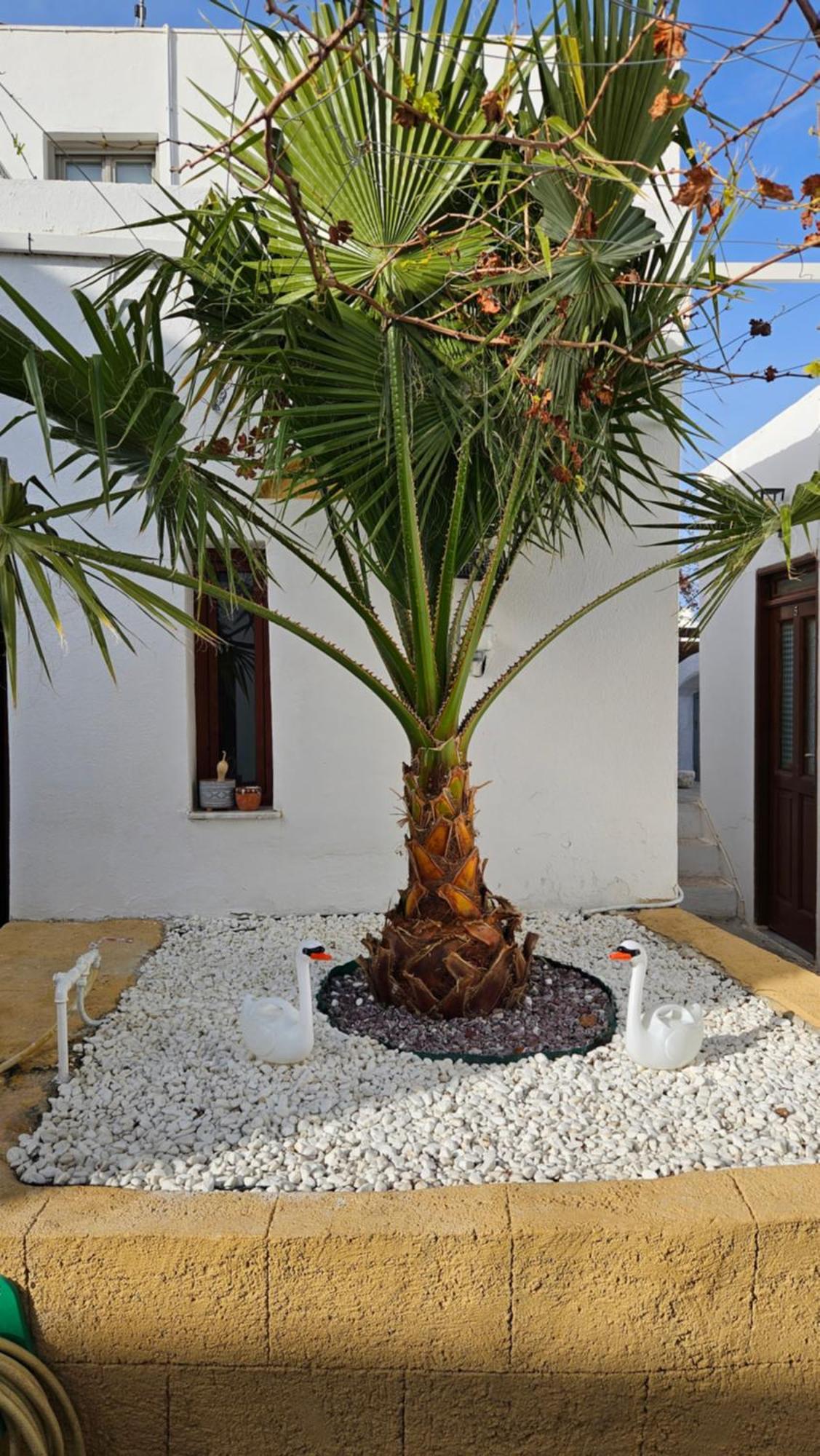 Astoria Lindos Villa Exterior photo