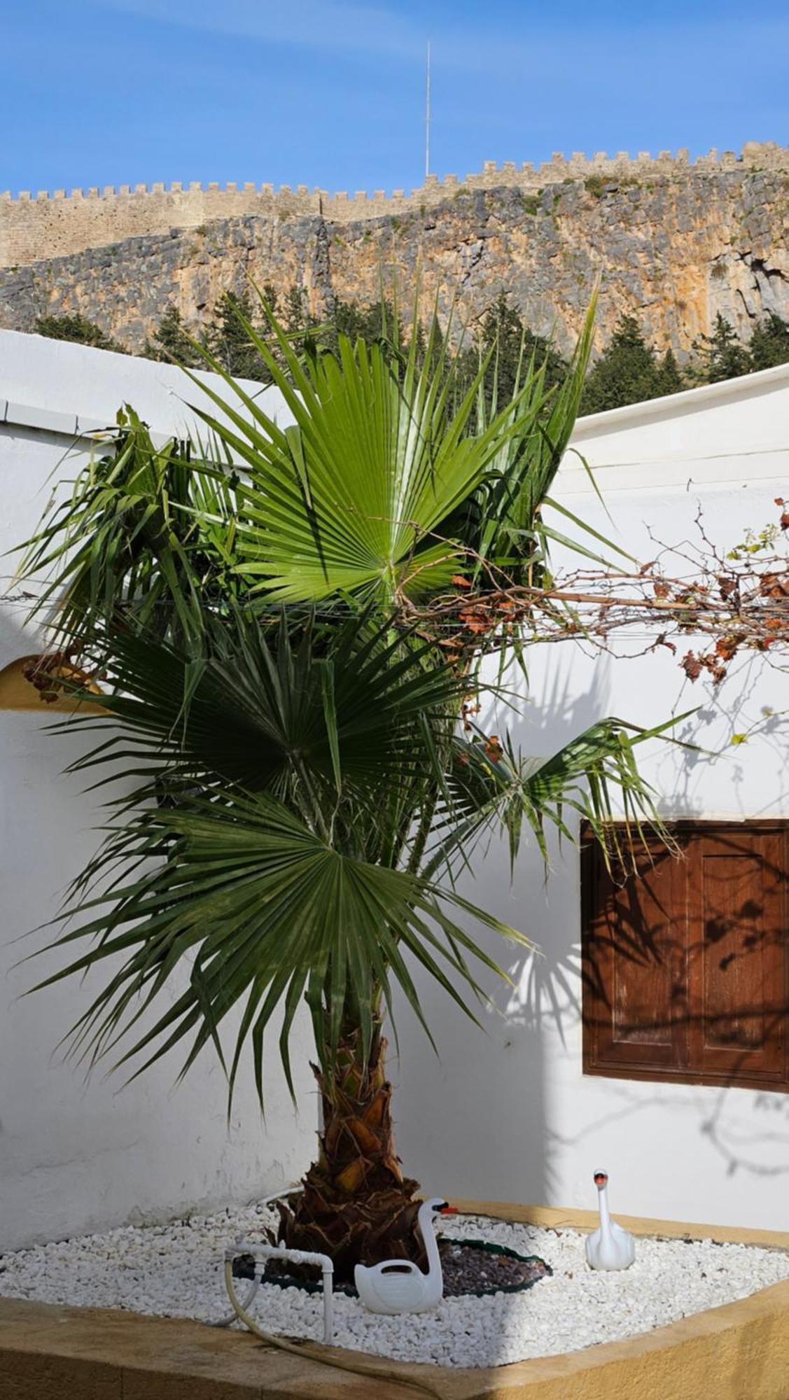 Astoria Lindos Villa Exterior photo